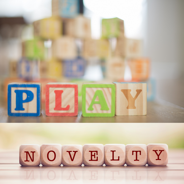 Toys & Novelty