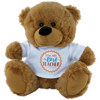Brown Teddy Bear 23cm with “Best Teacher” shirt – soft plush toy thank-you gift for educators