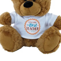 Brown teddy bear wearing a white shirt with 'You are the Best Teacher' text on a white background