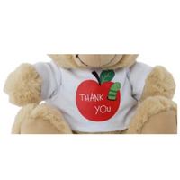 Brown Teddy Bear 23cm with “Thank You” apple shirt – soft plush toy gift for teachers & appreciation