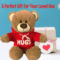 Brown Teddy Bear Hugs With Red Hoodie 25cm – Valentine Keepsake Gift