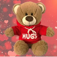 Brown Teddy Bear Hugs With Red Hoodie 25cm