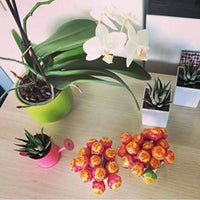 Bulk Chupa Chups assorted flavours, individually wrapped