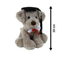 Dog Rocky Graduation Plush 20cm – soft toy puppy with graduation cap and scroll keepsake gift