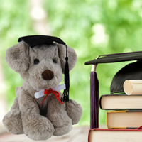 Elka Plush Dog Rocky 20cm Graduation Soft Toy With Cap And Scroll
