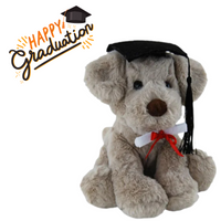 Dog Rocky Graduation Plush 20cm – soft toy puppy with graduation cap and scroll keepsake gift