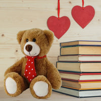 Gordy Brown Teddy Bear with Red Neck Tie – 20cm Soft Plush Gift