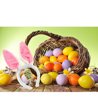 Bunny Ears Pink White - 2 Pack - Aussie Variety-AU Ancel Online