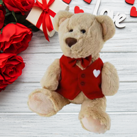 Love Teddy Bear With Red Vest 26cm - Aussie Variety-AU Ancel Online