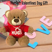 Brown Teddy Bear Hugs With Red Hoodie 25cm

