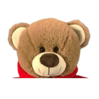 Brown Teddy Bear Hugs With Red Hoodie 25cm
