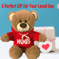 Brown Teddy Bear with HUGS Red Hoodie Valentine Gift 25cm – Romantic Keepsake - Aussie Variety-AU Ancel Online
