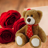 Gordy Brown Teddy Bear with Red Neck Tie – 20cm Soft Plush Gift
