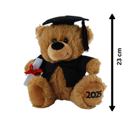 Graduation Teddy Bear 23cm – brown plush toy with 2025 paw print, cap, gown & scroll keepsake gift