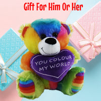 Rainbow Bear You Colour My World Teddy Bear
