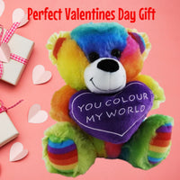 Rainbow Bear You Colour My World Teddy Bear
