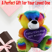 Rainbow Bear You Colour My World Teddy Bear
