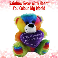 Rainbow Bear You Colour My World Teddy Bear
