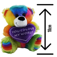 Rainbow Bear You Colour My World Teddy Bear
