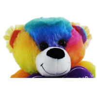 Rainbow Bear You Colour My World Teddy Bear
