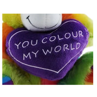 Rainbow Bear You Colour My World Teddy Bear
