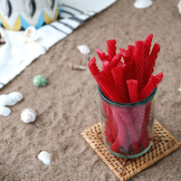 Redvines Original Red candy sticks in a glass jar on a sandy surface with shells around
