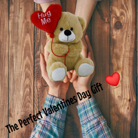 Brown Teddy Bear With Hug Me Red Heart 25cm - Aussie Variety-AU Ancel Online

