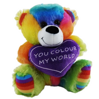 You Colour My World Rainbow Teddy Bear 23cm Soft Plush