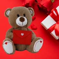 Brown Teddy Bear With Red Love Envelope 26cm
