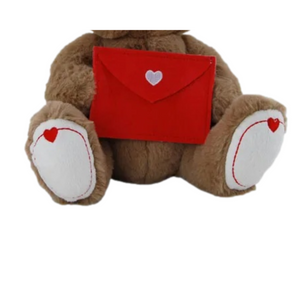 Brown Teddy Bear With Red Love Envelope 26cm