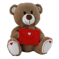 Brown Teddy Bear With Red Love Envelope 26cm

