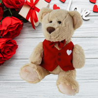 Love Teddy Bear With Red Vest 26cm
